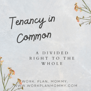What is a tenancy in common?